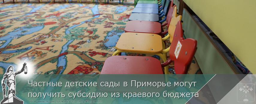 Частные детские сады в Приморье могут получить субсидию из краевого бюджета