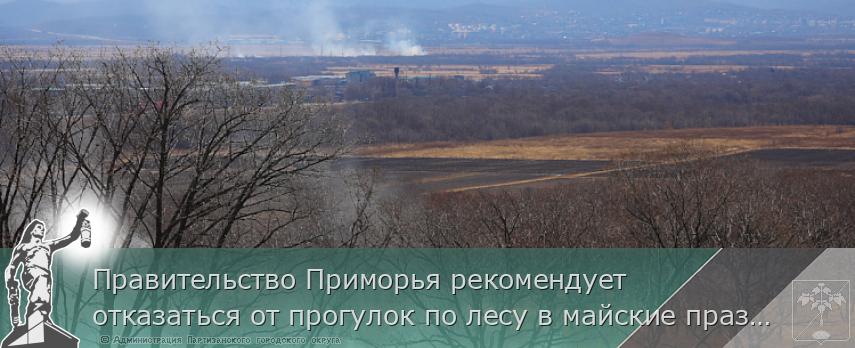 Правительство Приморья рекомендует отказаться от прогулок по лесу в майские праздники, сообщает  www.primorsky.ru 